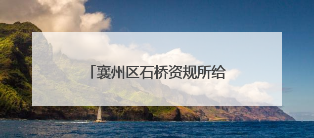 襄州区石桥资规所给政府及群众“送礼”