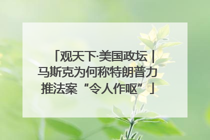 观天下·美国政坛｜马斯克为何称特朗普力推法案“令人作呕”