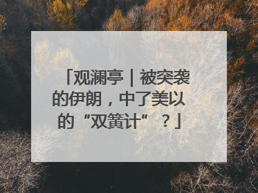 观澜亭｜被突袭的伊朗，中了美以的“双簧计”？