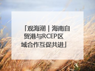 观海潮｜海南自贸港与RCEP区域合作互促共进