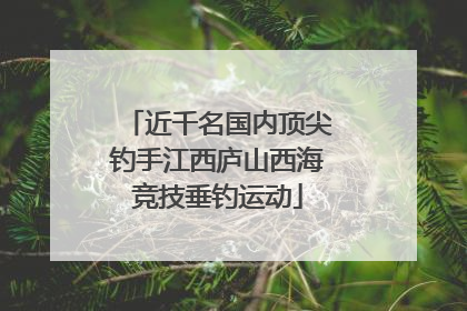 近千名国内顶尖钓手江西庐山西海竞技垂钓运动