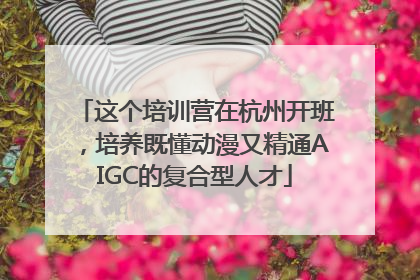 这个培训营在杭州开班，培养既懂动漫又精通AIGC的复合型人才