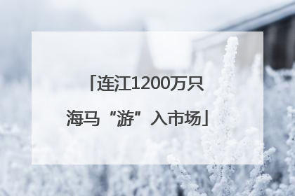 连江1200万只海马“游”入市场