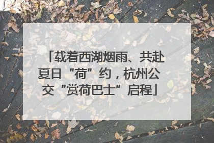 载着西湖烟雨、共赴夏日“荷”约，杭州公交“赏荷巴士”启程
