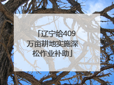 辽宁给409万亩耕地实施深松作业补助