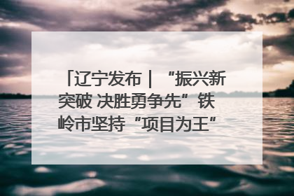 辽宁发布｜“振兴新突破 决胜勇争先”铁岭市坚持“项目为王”推进经济高质量发展