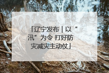 辽宁发布｜以“汛”为令 打好防灾减灾主动仗