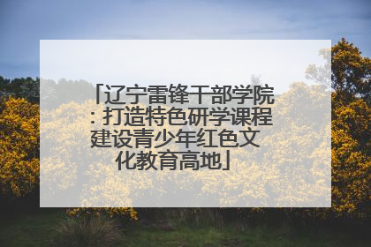 辽宁雷锋干部学院：打造特色研学课程 建设青少年红色文化教育高地