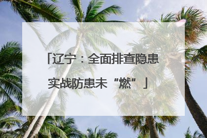 辽宁：全面排查隐患 实战防患未“燃”