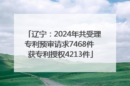 辽宁：2024年共受理专利预审请求7468件 获专利授权4213件