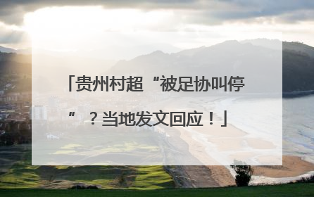 贵州村超“被足协叫停”？当地发文回应！