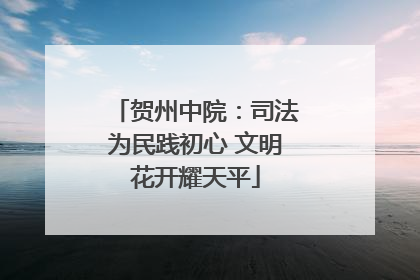 贺州中院：司法为民践初心 文明花开耀天平