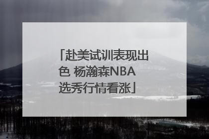 赴美试训表现出色 杨瀚森NBA选秀行情看涨