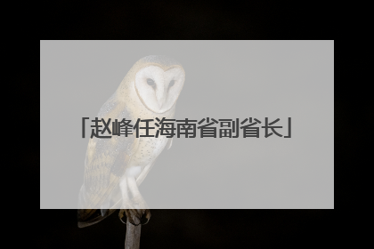 赵峰任海南省副省长