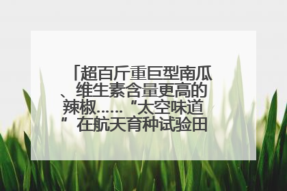 超百斤重巨型南瓜、维生素含量更高的辣椒……“太空味道”在航天育种试验田里拔节生长