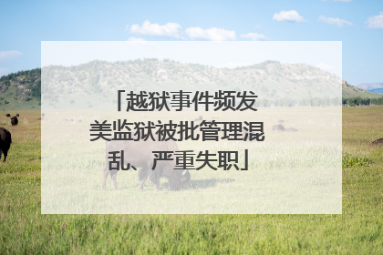 越狱事件频发 美监狱被批管理混乱、严重失职