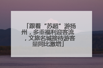 跟着“苏超”游扬州，多重福利迎客流，文旅名城接待游客量同比激增
