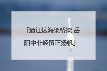 通江达海架桥梁 岳阳中非经贸正扬帆