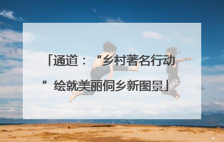通道：“乡村著名行动”绘就美丽侗乡新图景