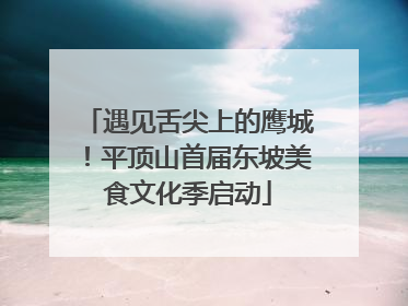 遇见舌尖上的鹰城！平顶山首届东坡美食文化季启动