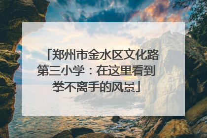 郑州市金水区文化路第三小学：在这里看到拳不离手的风景