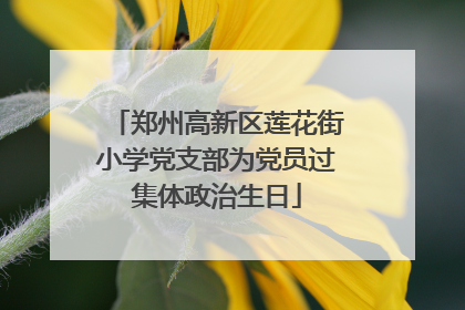 郑州高新区莲花街小学党支部为党员过集体政治生日