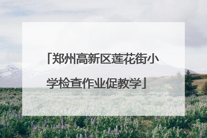 郑州高新区莲花街小学检查作业促教学