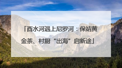 酉水河遇上尼罗河：保靖黄金茶、村厨“出海”启新途