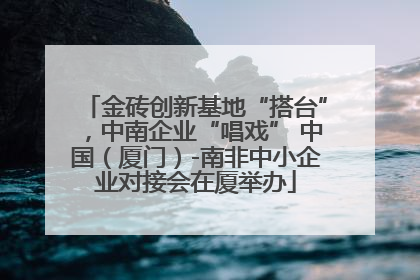 金砖创新基地“搭台”，中南企业“唱戏” 中国（厦门）-南非中小企业对接会在厦举办