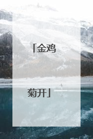 金鸡菊开