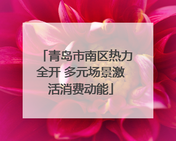 青岛市南区热力全开 多元场景激活消费动能