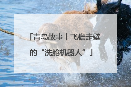 青岛故事丨飞檐走壁的“洗舱机器人”