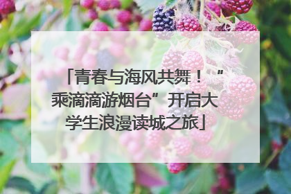 青春与海风共舞！“乘滴滴游烟台”开启大学生浪漫读城之旅