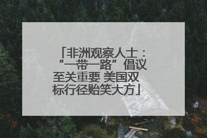 非洲观察人士：“一带一路”倡议至关重要 美国双标行径贻笑大方