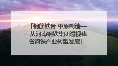 钢筋铁骨 中原制造——从河南钢铁集团透视我省钢铁产业转型发展