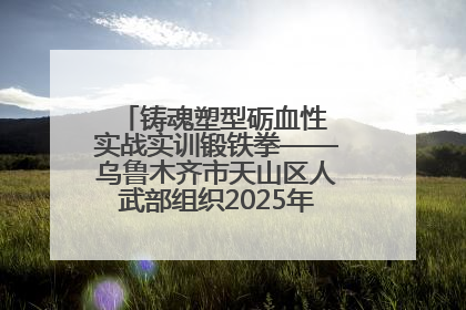 铸魂塑型砺血性 实战实训锻铁拳——乌鲁木齐市天山区人武部组织2025年度民兵集中轮训