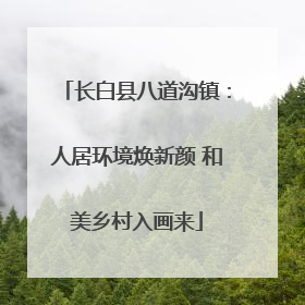 长白县八道沟镇：人居环境焕新颜 和美乡村入画来