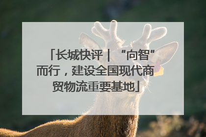 长城快评｜“向智”而行，建设全国现代商贸物流重要基地