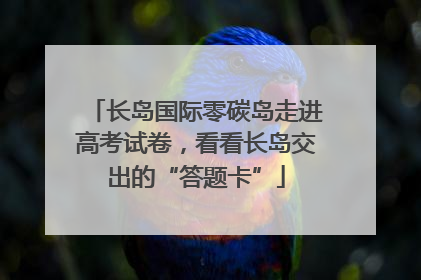 长岛国际零碳岛走进高考试卷，看看长岛交出的“答题卡”
