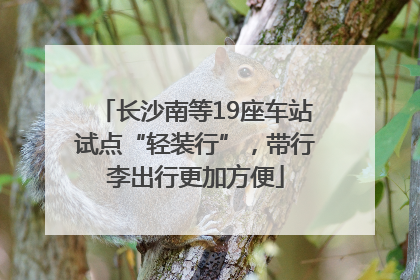 长沙南等19座车站试点“轻装行”，带行李出行更加方便