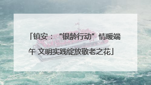 镇安：“银龄行动”情暖端午 文明实践绽放敬老之花