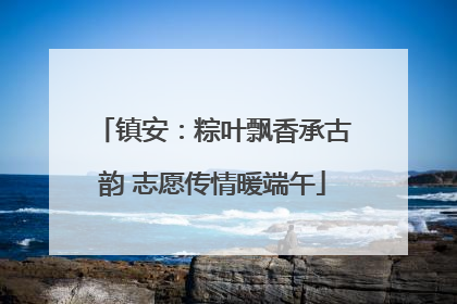 镇安：粽叶飘香承古韵 志愿传情暖端午