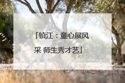 镇江：童心展风采 师生秀才艺