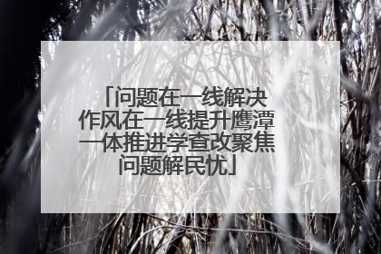 问题在一线解决 作风在一线提升鹰潭一体推进学查改聚焦问题解民忧