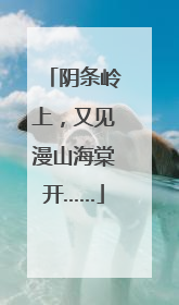 阴条岭上，又见漫山海棠开……
