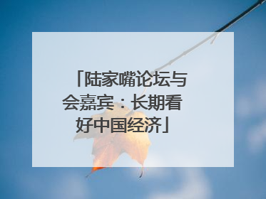 陆家嘴论坛与会嘉宾：长期看好中国经济