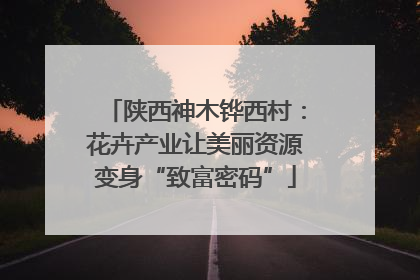 陕西神木铧西村：花卉产业让美丽资源变身“致富密码”