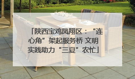 陕西宝鸡凤翔区：“连心角”架起服务桥 文明实践助力“三夏”农忙