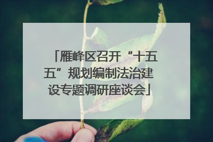 雁峰区召开“十五五”规划编制法治建设专题调研座谈会