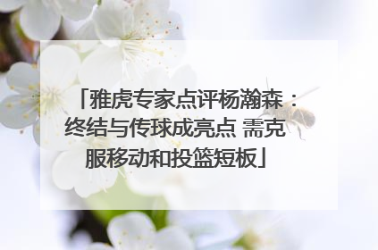 雅虎专家点评杨瀚森：终结与传球成亮点 需克服移动和投篮短板